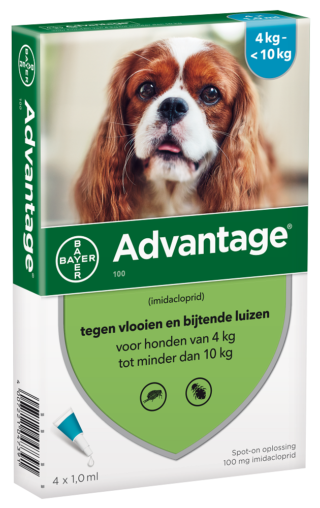 Advantage Hond 100