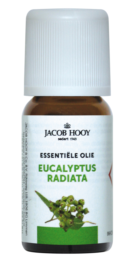 Jacob Hooy Essentiële Olie Eucalyptus Radiata