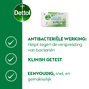 Dettol 2in1 Hygiënisch Doekjes Duo 2x12ST 39032