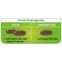 Priorin Haar Capsules 2-pack 2x120CP 39191