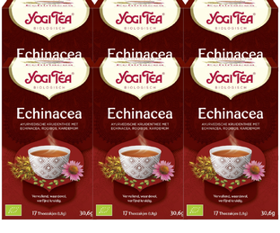 Yogi Tea Echinacea Voordeelverpakking 6x17ST 