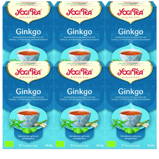 Yogi Tea Ginkgo Voordeelverpakking 6x17ST 