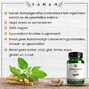 Vanan Ashwagandha Capsules 60CP vanan beschrijving ashwagandha