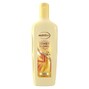 Andrelon Zomer Blond Shampoo 300ML 