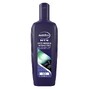 Andrelon Men Anti-Roos & Intens Fris Shampoo 300ML 