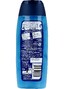 Fa Men Sport Body & Hair Douchegel - met ginko extract 250ML Achterzijde