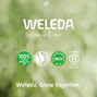 Weleda Granaatappel & Maca Verstevigende Dagcrème 40ML Weleda Granaatappel & Maca Verstevigende Dagcrème merk