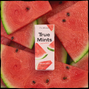 True Gum Mints Watermelon Pastilles 13GR 60785