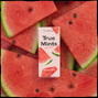 True Gum Mints Watermelon Pastilles 13GR1