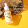 Celenes by Sweden Vitamin C 12,5% + Oats + Niacinamide Active Serum 30ML Gebruiksinstructies