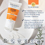 Celenes by Sweden Sea Buckthorn Geurloze Anti-Aging Handcrème 75ML Highlights handcreme