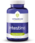 Vitakruid Intestina Tabletten 120TB 