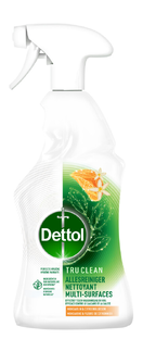 Dettol Allesreiniger Spray Mandarijn & Citroenbloesem 500ML 