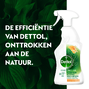 Dettol Allesreiniger Spray Mandarijn & Citroenbloesem 500ML Dettol Allesreiniger Spray Mandarijn & Citroenbloesem flacon