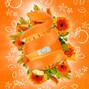 Eco Egg Laundry Egg Orange Blossom 1ST 68063