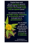 Lucovitaal Rhodiola Rosea Tabletten 60TB Zijkant verpakking