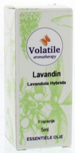 Volatile Lavandin (Lavandula Super) 5ML 