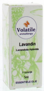 Volatile Lavandin (Lavandula Super) 5ML