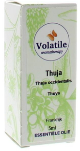 Volatile Thuja (Thuja Occidentalis) 5ML 