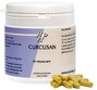 Holisan Curcusan Vegetarische Capsules 90CP 