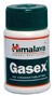 Himalaya Herbals Gasex Tabletten 100TB 