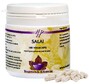 Holisan Salai Capsules 100CP 