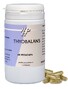 Holisan Thyobalans Capsules 60CP 