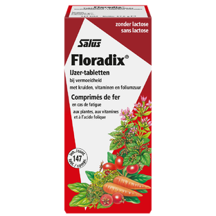 Salus Floradix IJzer Tabletten 147TB 