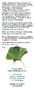 Leef Vitaal Ginkgo Combi Tabletten 60TB 65667