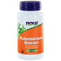 NOW Duivelsklauw Extract Capsules 100ST 