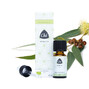 Chi Eucalyptus Etherische Olie Bio 10ML 33507