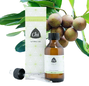 Chi Tamanu Plant Olie Biologisch 50ML 50325