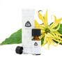 Chi Ylang Ylang Etherische Olie Cultivar 10ML 33970