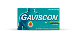 Gaviscon 250 Pepermunt Kauwtabletten 16TB 