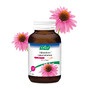 A.Vogel Echinaforce Kauwtabletten sterk** + Vitamine C Tabletten 60ST Sfeerfoto potje