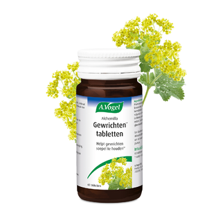 A.Vogel Alchemilla Complex Tabletten 60TB 