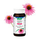 A.Vogel Echinaforce Sterk** + Energie* Tabletten 30ST Sfeerfoto potje