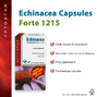 Fytostar Echinacea Forte 1215 Capsules 45CP 43955