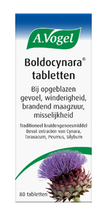 A.Vogel Boldocynara Tabletten 80TB 