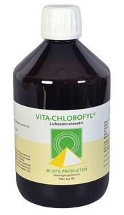 Vita Producten Vita Chlorofyl 500ML 