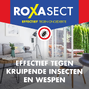 Roxasect Spuitbus Tegen Kruipende Insecten En Wespen 400ML 52083