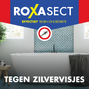 Roxasect Spuitbus Tegen Zilvervisjes 400ML 52385