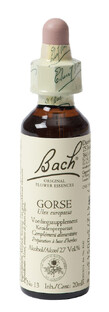 Bach Flower Remedies Gaspeldoorn 13 20ML 