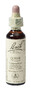 Bach Flower Remedies Gaspeldoorn 13 20ML 