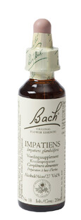 Bach Flower Remedies Reuzenbalsemien 18 20ML 