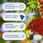 BlaseBerry Cranberry D-mannose & Hibiscus Capsules 100CP2