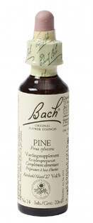 Bach Flower Remedies Den 24 20ML 