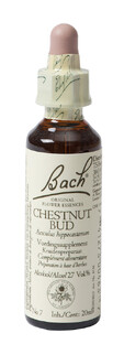 Bach Flower Remedies Kastanjeknop 07 20ML 