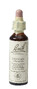 Bach Flower Remedies IJzerhard 31 20ML 