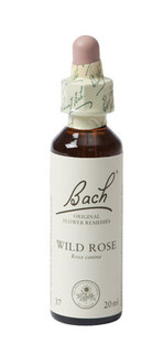 Bach Flower Remedies Hondsroos 37 20ML 